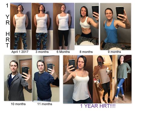 mtf|MTF Transition Timeline and Effects: 5 Things to Consider